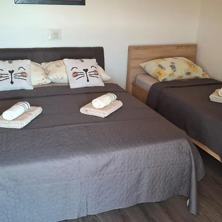 Apartment Skapul